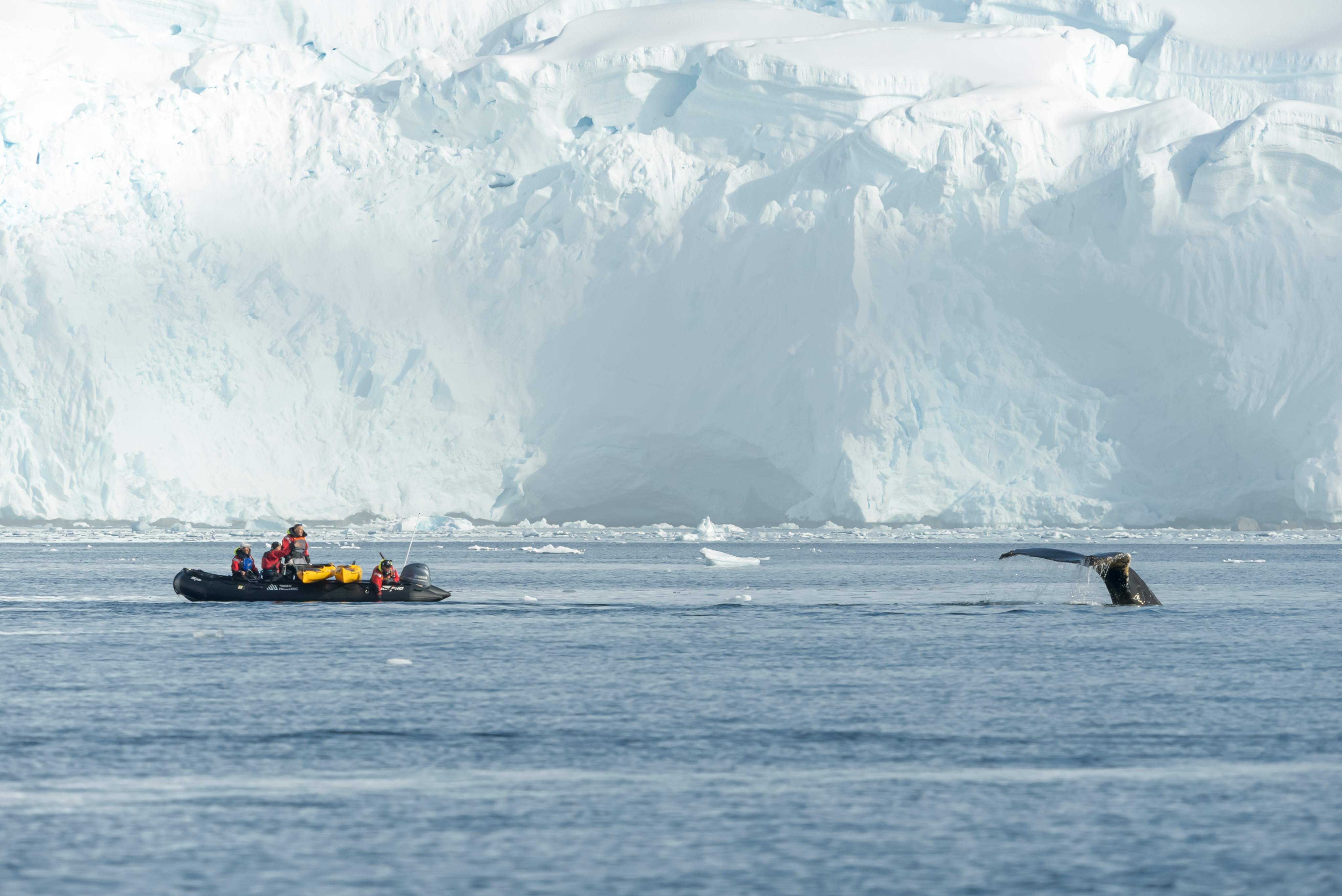Excursions on SH Minerva